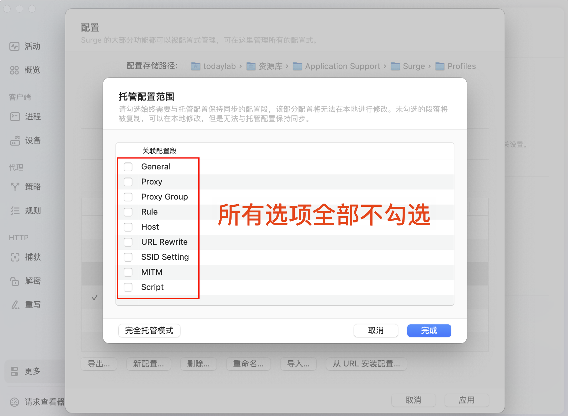 Surge 2025-08-11 08.56.13